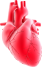 nursing care services in Lucknow